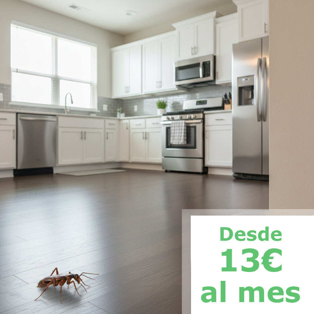 Casa unifamiliar 2 Habitaciones Hasta 50m2